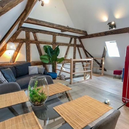 Beauty & The Beast - Old Town Cosy Apartments コルマール エクステリア 写真