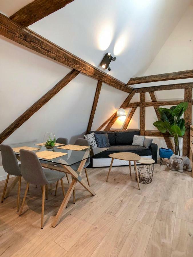 Beauty & The Beast - Old Town Cosy Apartments コルマール エクステリア 写真
