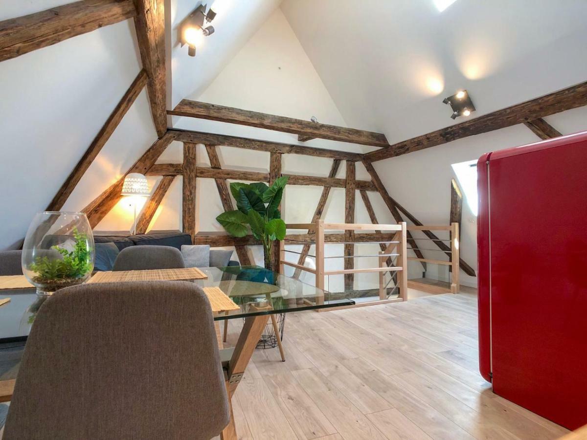 Beauty & The Beast - Old Town Cosy Apartments コルマール エクステリア 写真