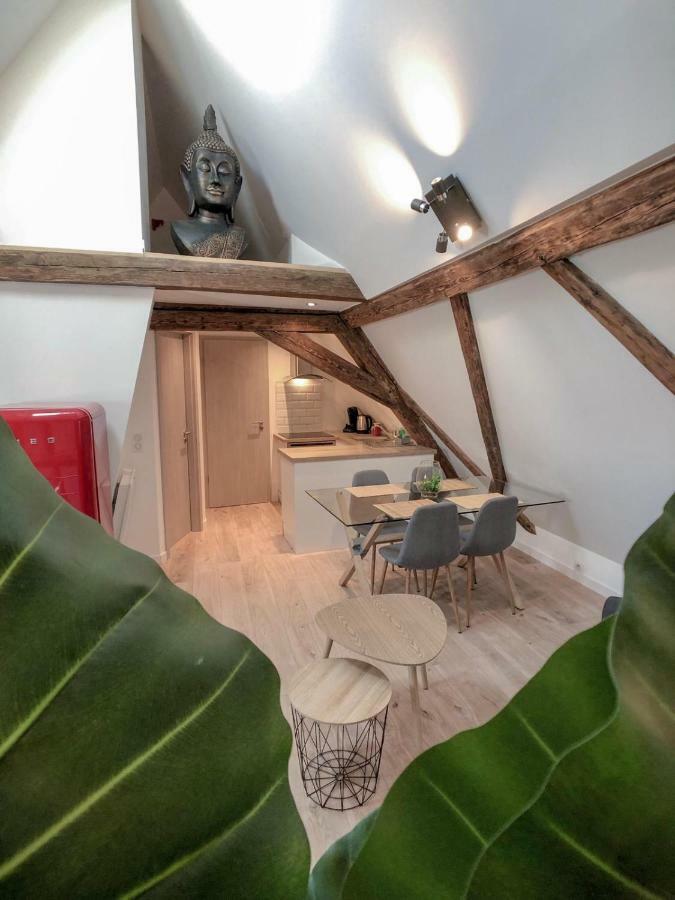 Beauty & The Beast - Old Town Cosy Apartments コルマール エクステリア 写真