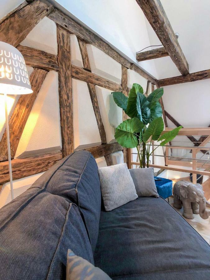Beauty & The Beast - Old Town Cosy Apartments コルマール エクステリア 写真